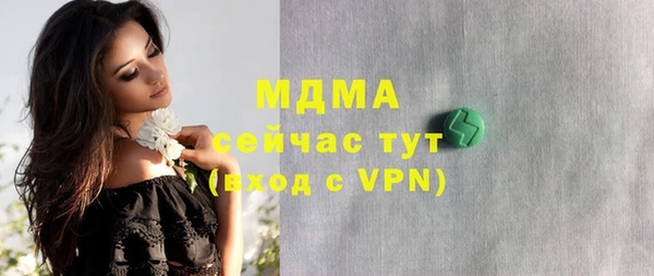 индика Алексин
