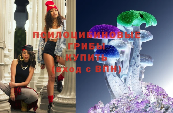 индика Алексин