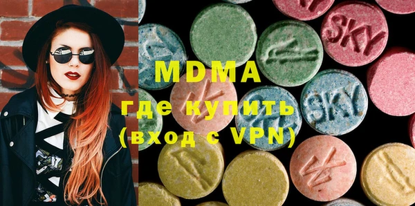 индика Алексин