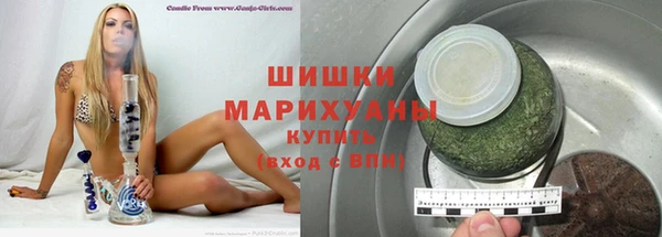 индика Алексин