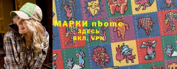 индика Алексин