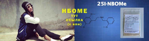 индика Алексин