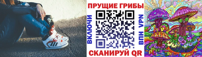 Псилоцибиновые грибы Cubensis  Анива 